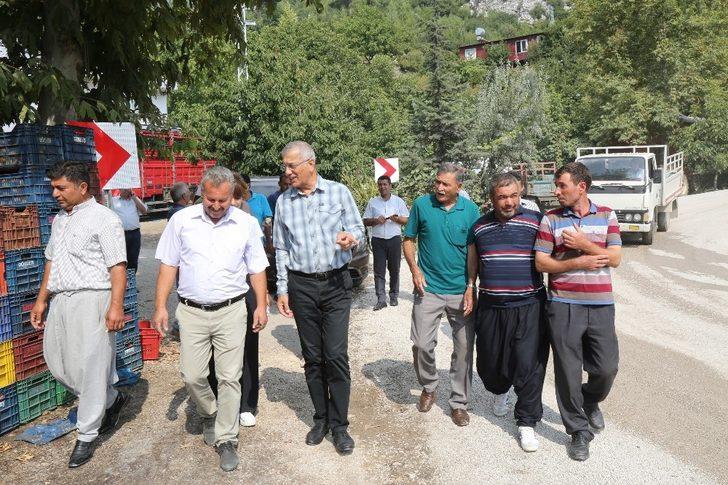 Mezitli Belediyesi, domates üreticilerine kucak açtı G4