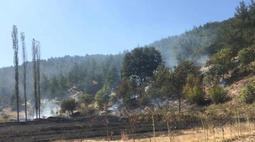 Orman B&ouml;lge M&uuml;d&uuml;rl&uuml;ğ&uuml; ekiplerinin erken m&uuml;dahalesi muhtemel bir faciayı &ouml;nledi