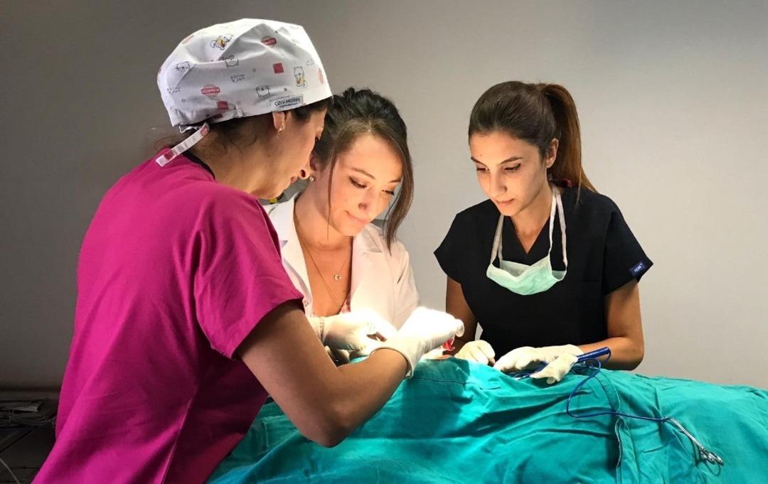 Manisalılar estetik ameliyatları sevdi