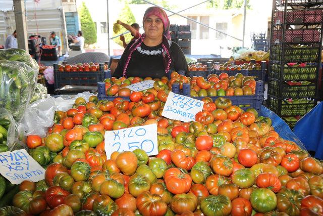 Mezitlili domates üreticieri için doğrudan satış çözümü