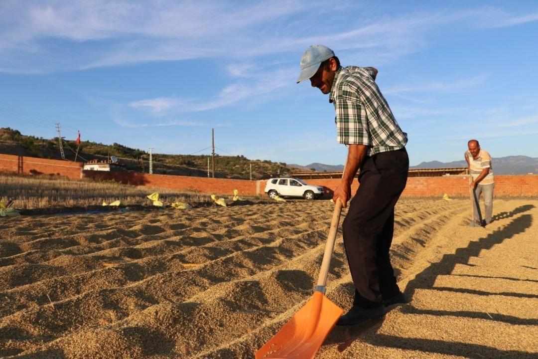 &Ccedil;eltik &uuml;reticisinin talepleri