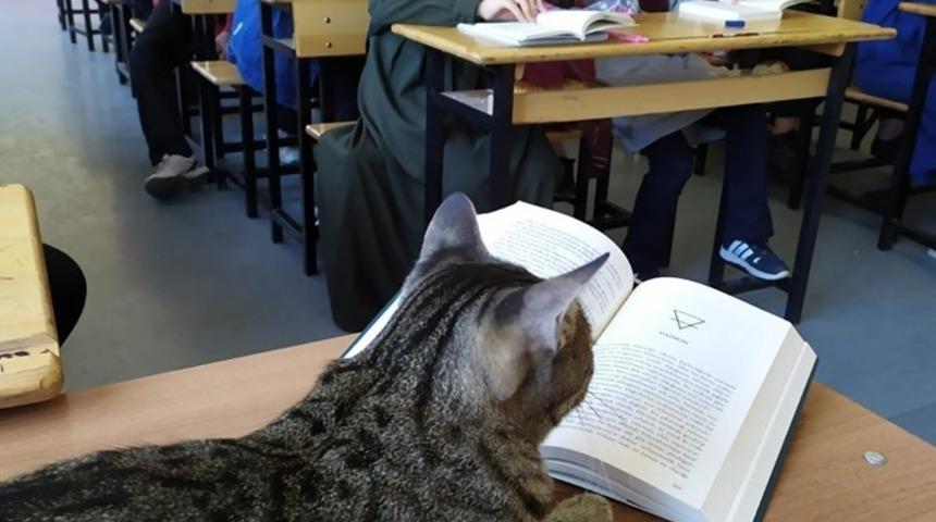 Okuma saatinin sevimli misafiri