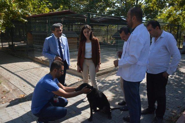 Yatılı okul barınaktan köpek sahiplendi