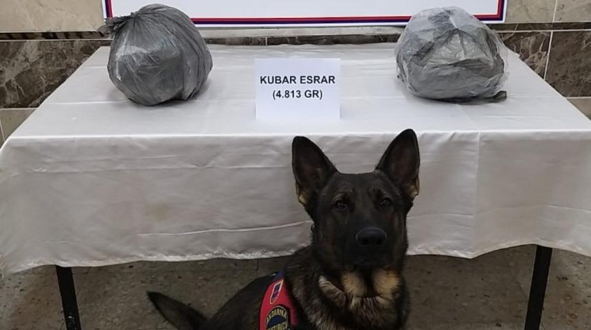 Jandarma ka&ccedil;ak&ccedil;ılara ge&ccedil;it vermedi