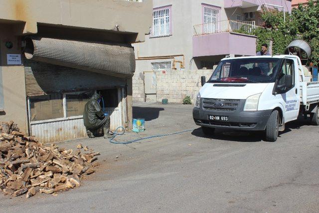 Mahalleliyi arılardan belediye ekipleri kurtardı