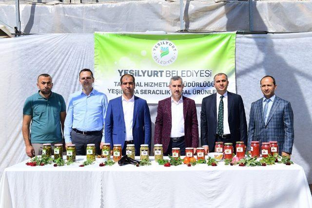 Yeşilyurt’ta yerli ve milli sebze üretimi