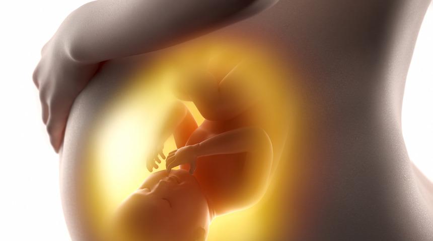 Anne adaylarına Omega-3 uyarısı