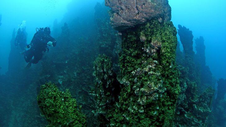 En büyük mikrobiyalitler Van Gölü'nde görüntülendi G1