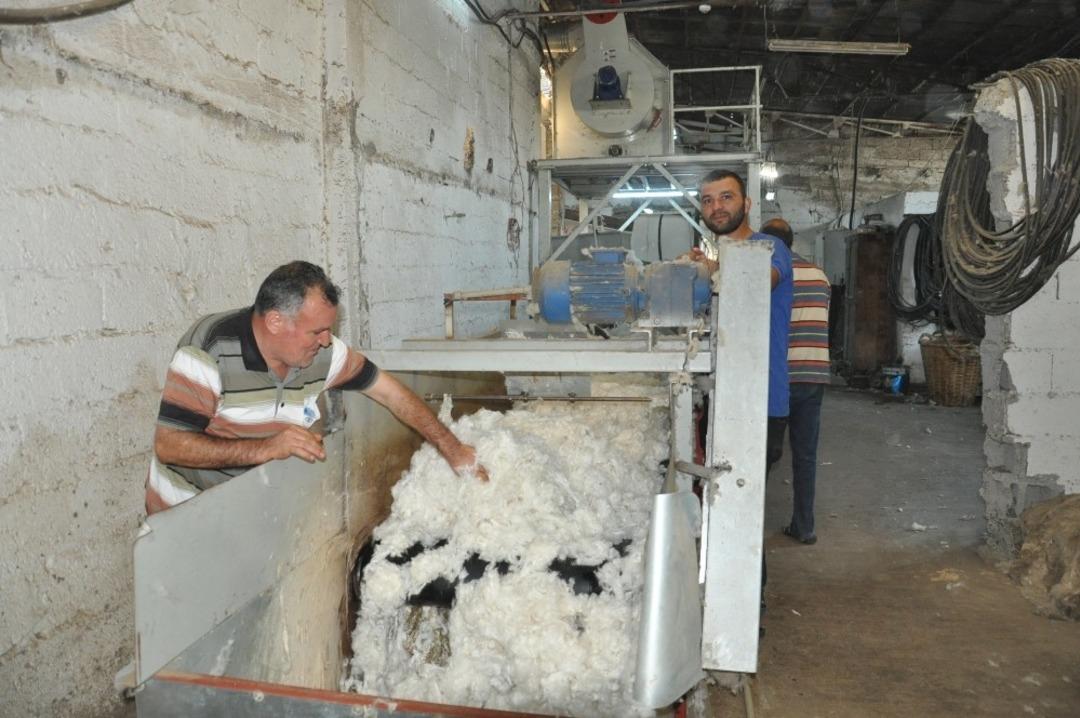 &Ccedil;ır&ccedil;ır fabrikasında "beyaz altın" mesaisi başladı