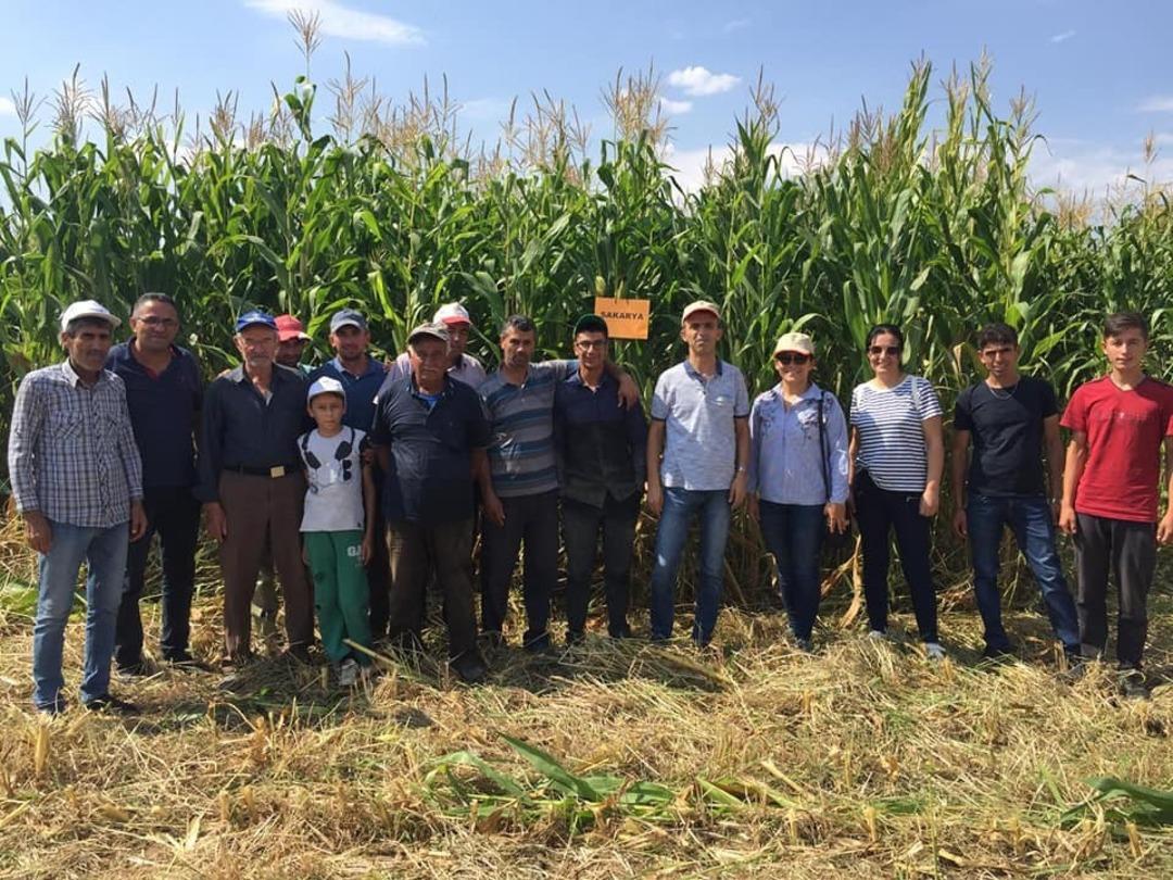 Simav&rsquo;da &rsquo;Silajlık mısır&rsquo; &uuml;reticinin y&uuml;z&uuml;n&uuml; g&uuml;ld&uuml;r&uuml;yor