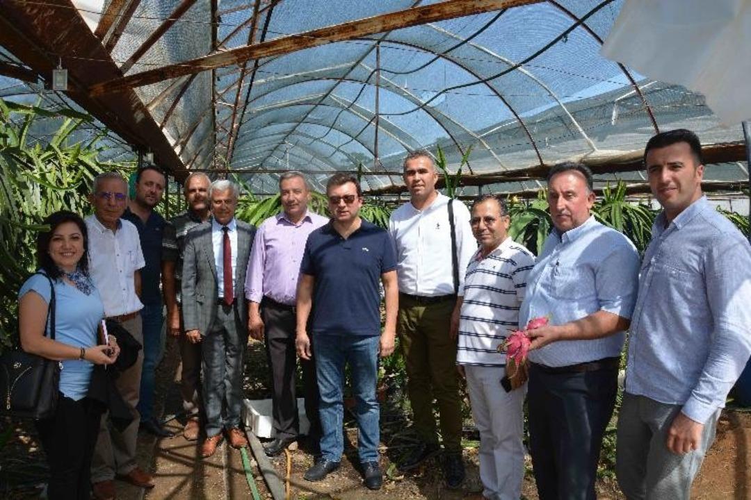 Ejder meyvesini incelemek i&ccedil;in Aydın&rsquo;dan Ortaca&rsquo;ya gittiler