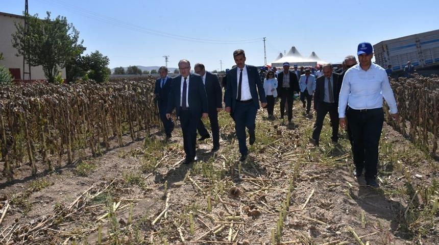 Sandıklı&rsquo;da tarla g&uuml;nleri etkinliği