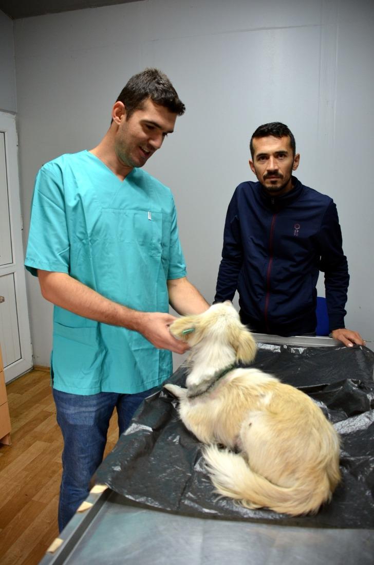 Boynu kesilmiş hale bulunan köpekten sevindiren haber G2