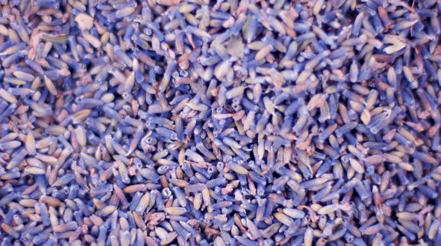 Üzerinizdeki stresi alıp kuş gibi hafifleten stres çayı tarifi