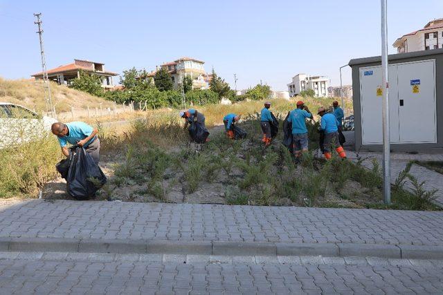 Melikgazi’de sonbahar temizliği başladı