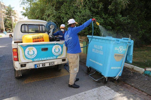 Haliliye’de ilaçlama çalışmaları sürüyor