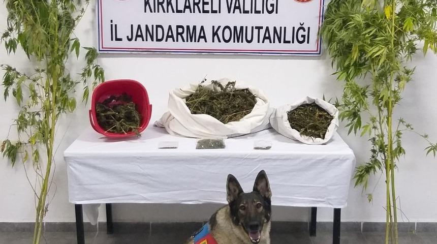 Kırklareli&rsquo;de 3 kilo 965 gram kubar esrar ele ge&ccedil;irildi