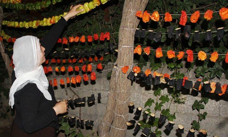 Silvan’da ’kurutmalık’ sezonu başladı G1