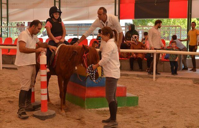 Büyükşehir Belediyesi’nden atla terapi hizmeti