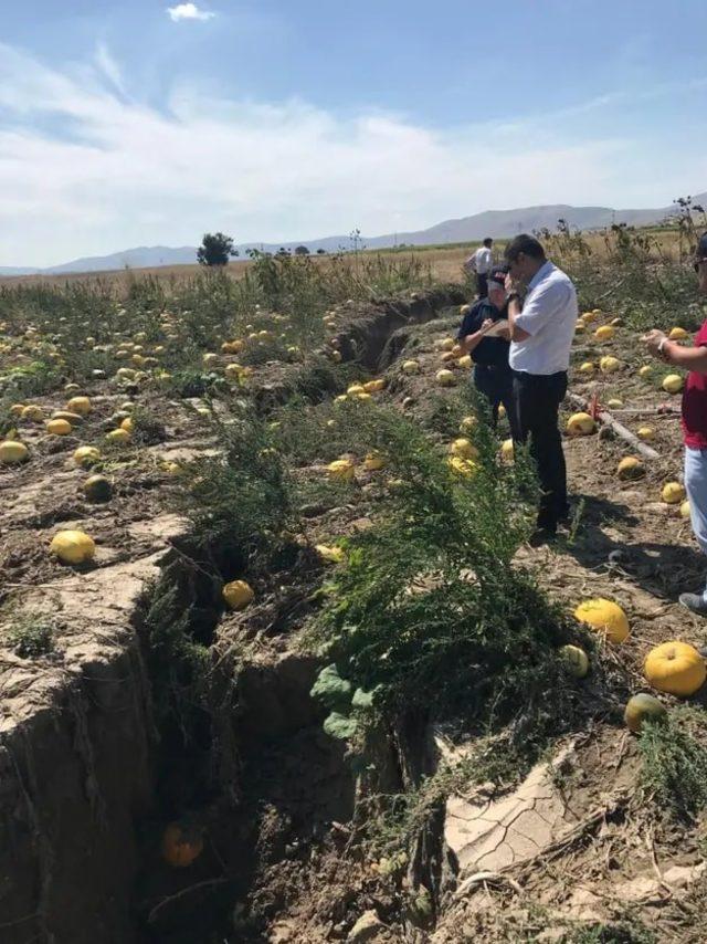 Dev yarıkların sebebi bilinçsiz su kullanımı ve kuraklık