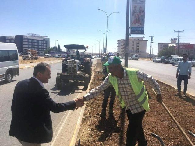 Başkan Kılınç, yürütülen çalışmaları inceledi