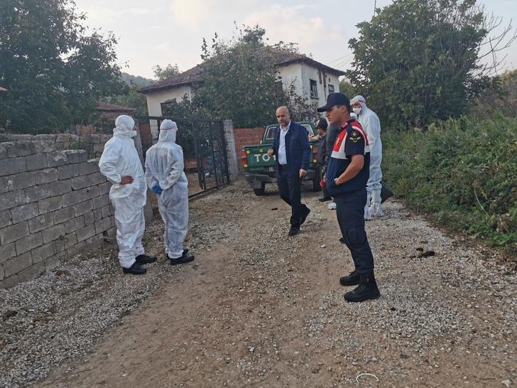 6 bin tavuk ölüsünün bulunduğu mahalle karantinaya alındı G1