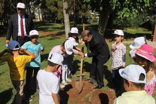 Şanlıurfalı minik öğrenciler fidanları toprakla buluşturdu