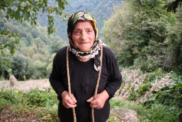 Çamlıhemşin'da ayı tedirginliği