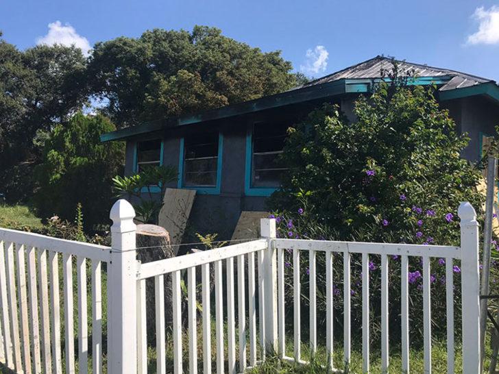 Cesur yürek Zippy! Ailesini kurtardı ama kendisini feda etti G3