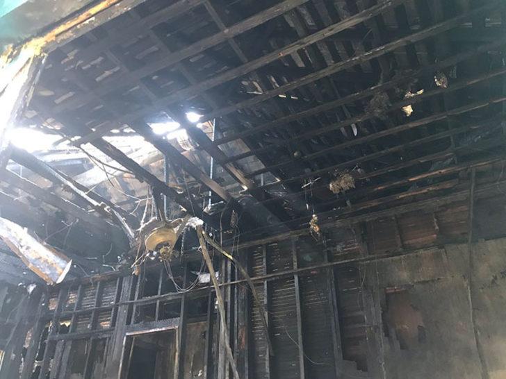 Cesur yürek Zippy! Ailesini kurtardı ama kendisini feda etti G4