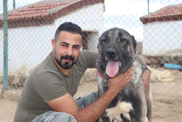 Özel bölmede besleniyor! Lüks bir otomobil fiyatında, değeri dudak uçuklatıyor G1