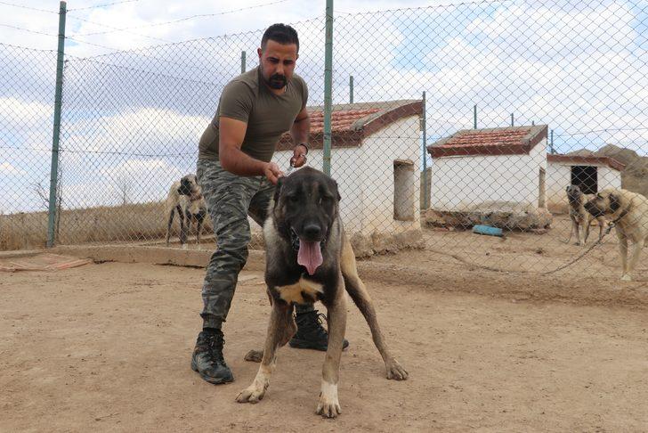 Özel bölmede besleniyor! Lüks bir otomobil fiyatında, değeri dudak uçuklatıyor G3