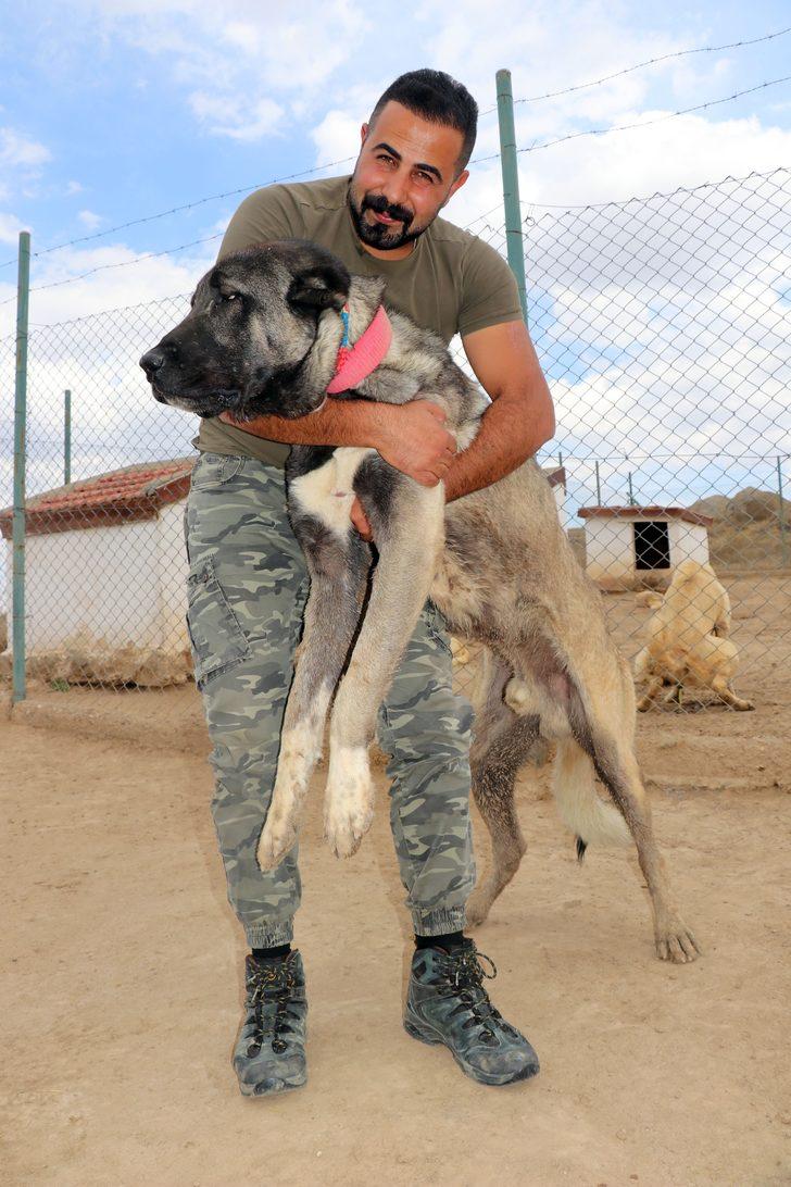 Özel bölmede besleniyor! Lüks bir otomobil fiyatında, değeri dudak uçuklatıyor G4