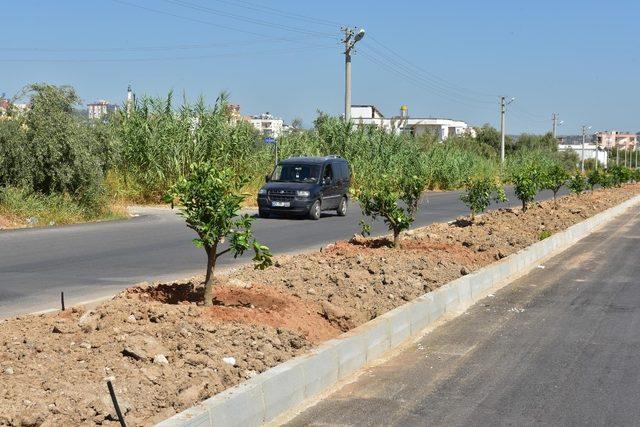 Tütüncü, Kepez’in Yeşil Seferberliği’ni inceledi