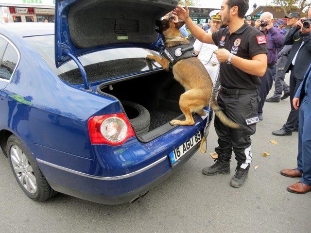 Mudanya’da şok operasyon