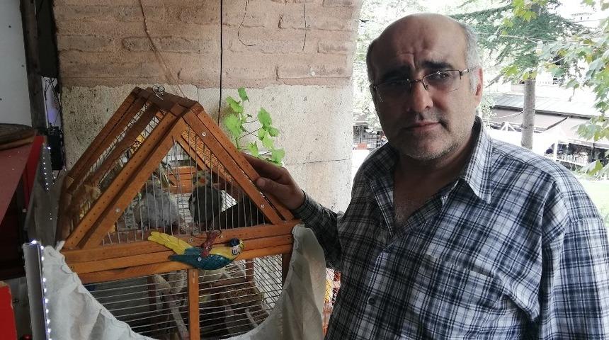 Sakat kuşu petshopta g&ouml;rd&uuml;, sahiplendi