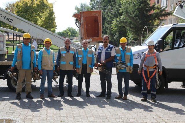 Haliliye Belediyesinden budama çalışmaları