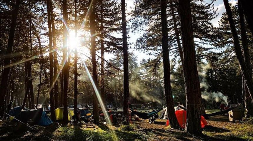 Piknik sepetini al gel