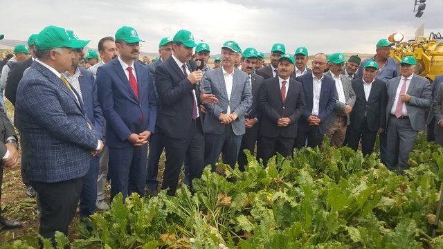 Kayseri Şeker’in Şarkışla’daki Pancar Hasat Günü’ne Sivas Valisi De Katıldı