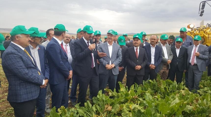 Kayseri Şeker’in Şarkışla’daki Pancar Hasat Günü’ne Sivas Valisi De Katıldı