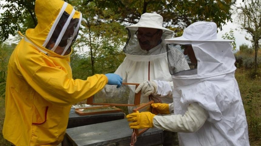 Arı zehri &uuml;retim kursu yapıldı