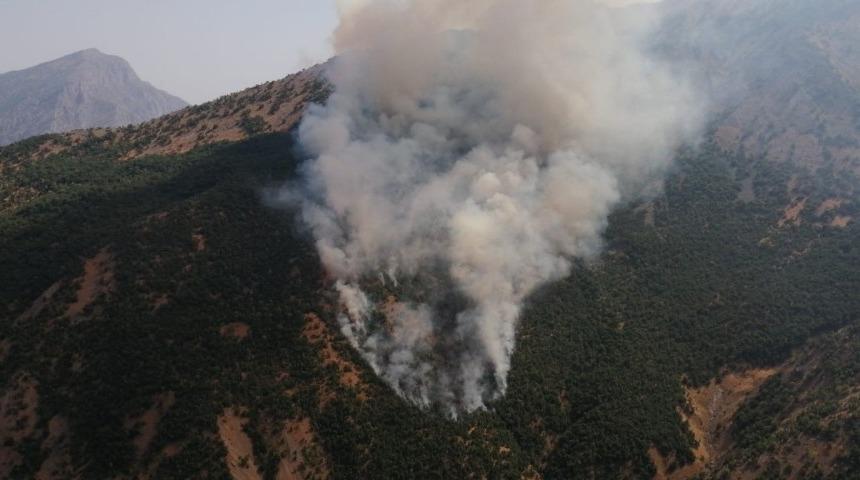Akkaya köyünde orman yangını çıktı