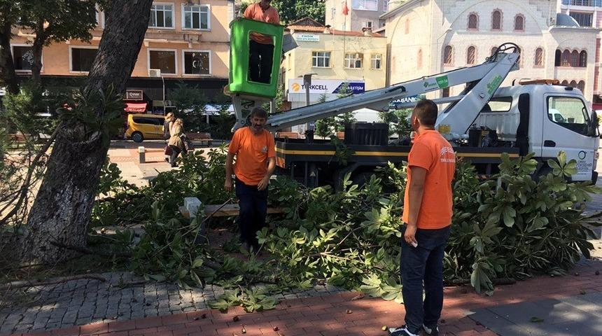 Sakin şehir Perşembe&rsquo;de kış hazırlıkları s&uuml;r&uuml;yor