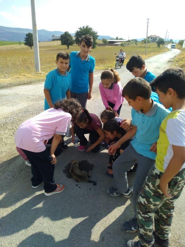 Yavru köpeğin imdadına öğrenciler yetişti