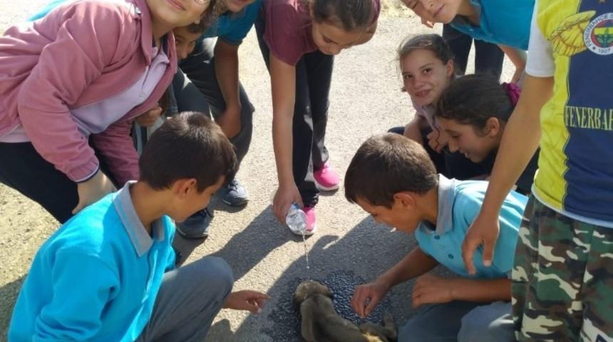 Yavru k&ouml;peğin imdadına &ouml;ğrenciler yetişti
