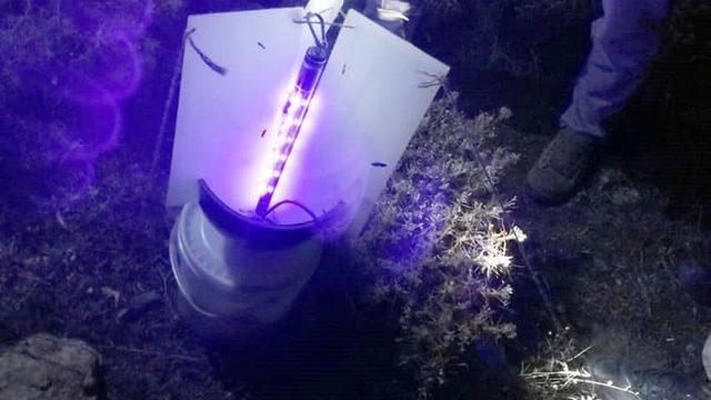 Gümüşhane'de kelebek yakalayan yabancı uyruklu 2 kişiye para cezası