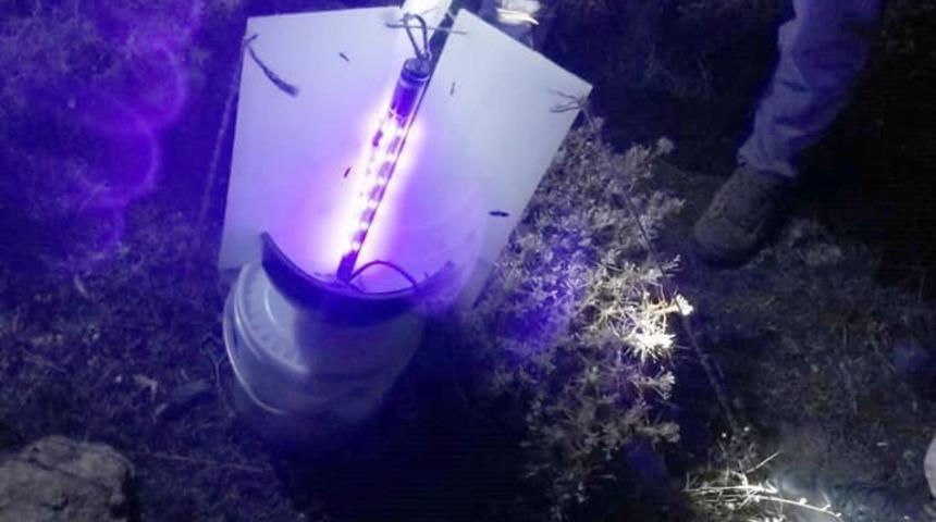 G&uuml;m&uuml;şhane'de kelebek yakalayan yabancı uyruklu 2 kişiye para cezası