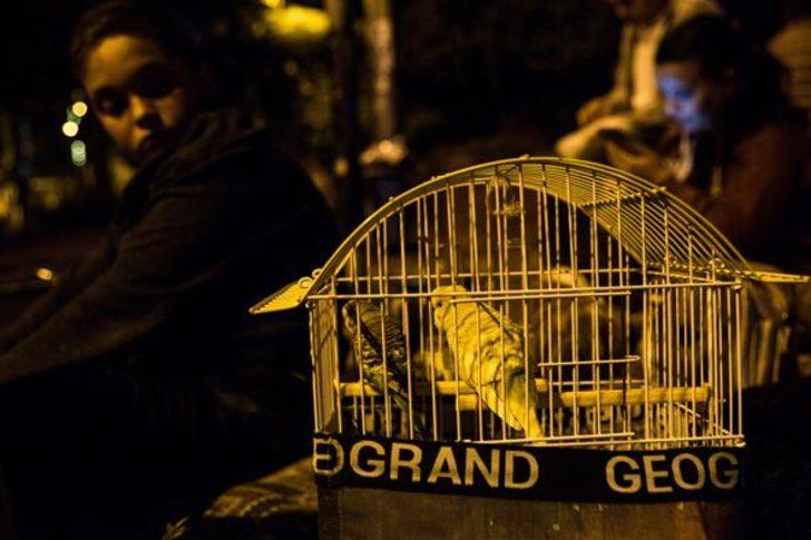 İstanbul sokakta! Parklara akın ettiler G1