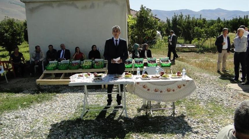 Doğanşehir’de elma hasat günü düzenlendi