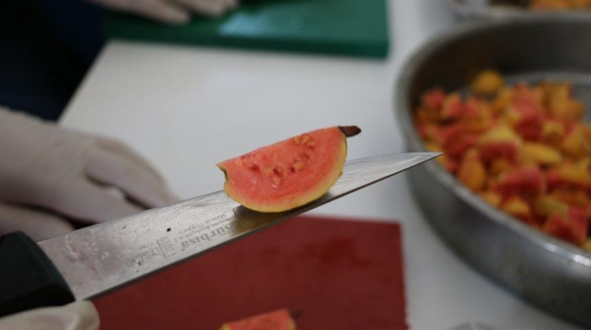 Türkiye’de üretilmeye başlayan guava meyvesinin sirkesi de yapıldı